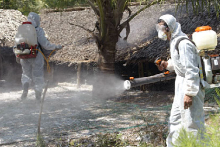 Madárinfluenza - Tovább terjed Kínában a H7N9