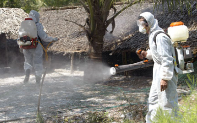 Madárinfluenza - Tovább terjed Kínában a H7N9
