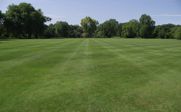 Temetik a brit gyepet