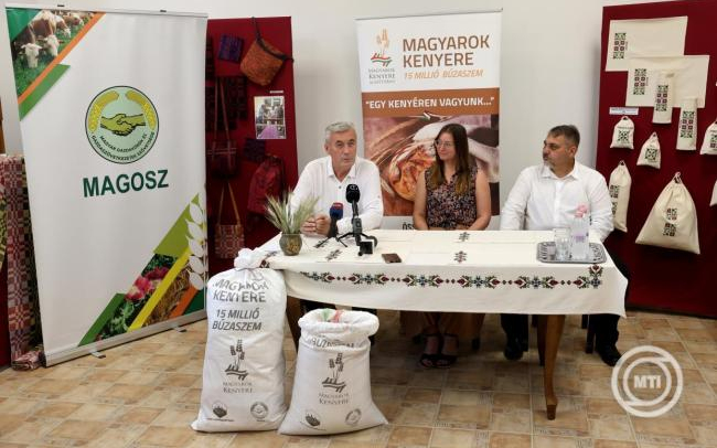 Elindult az idei Magyarok kenyere búzagyűjtés